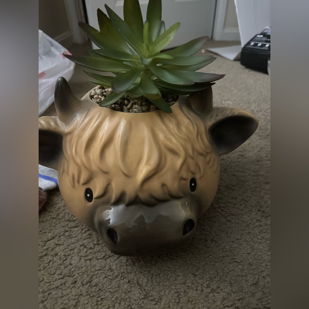 Charming Bull Planter in Brown and Gray